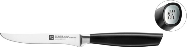 All Star Steakmesser 120, chrome-silber