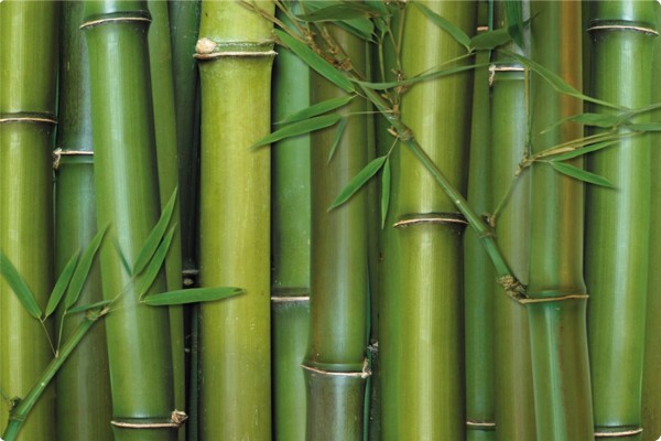 Bamboo Tablett 40x19cm