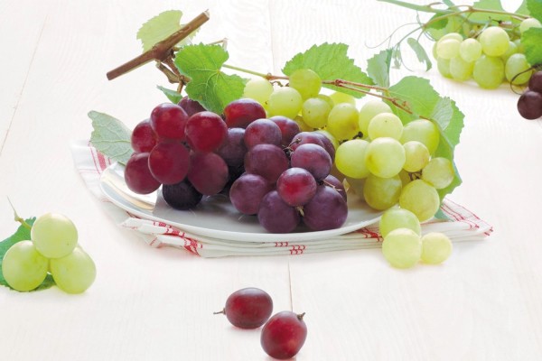 Grapes Tablett 44.5x31cm