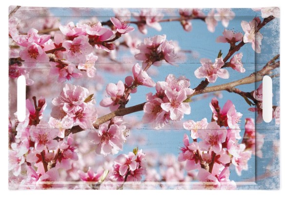 Peach in blossom Tablett m. Griffen 40x27cm