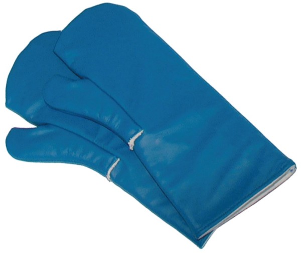 Paar Kältehandschuh, blau